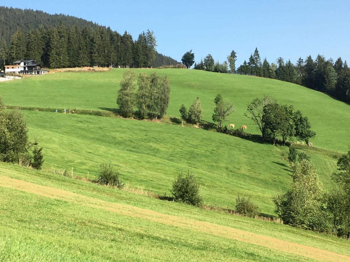 Traumblick Dachstein Apartman Radstadt Kültér fotó