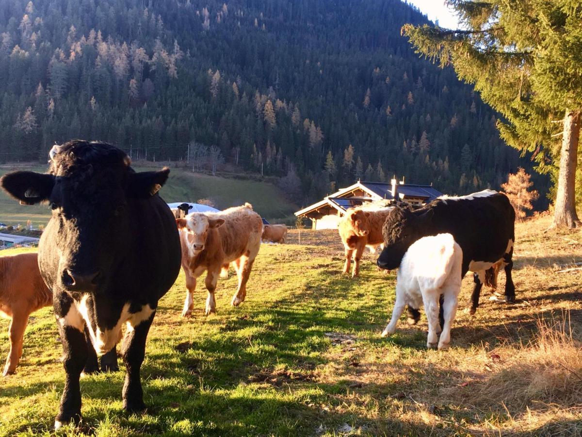Traumblick Dachstein Apartman Radstadt Kültér fotó