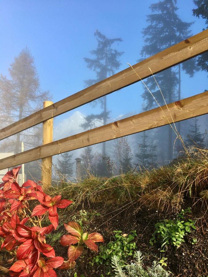 Traumblick Dachstein Apartman Radstadt Kültér fotó